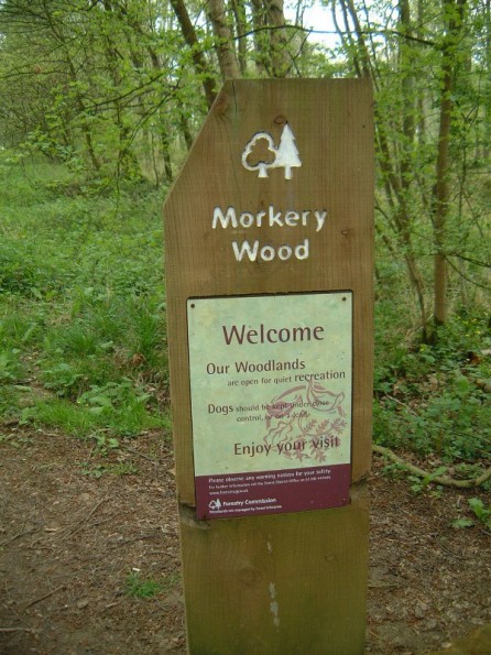 Morkery Woods